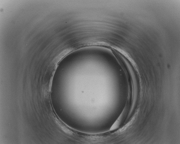 X0000062860897200601201726