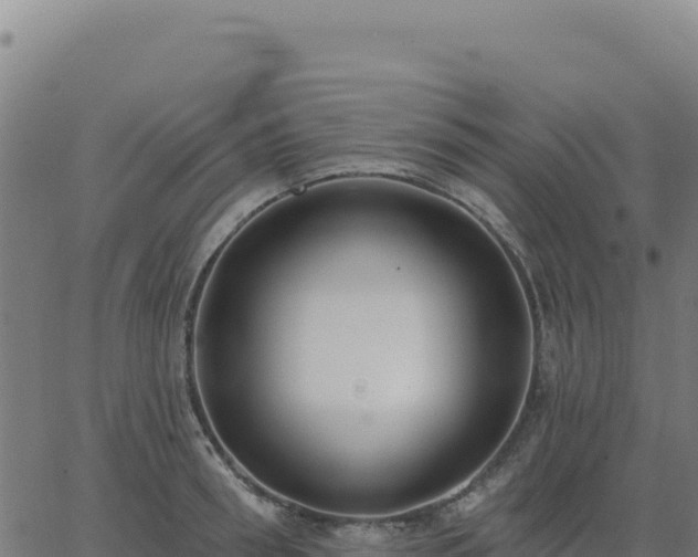 X0000062860898200601201726