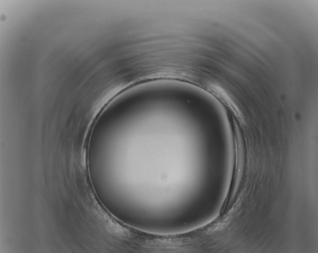 X0000062860900200601201726