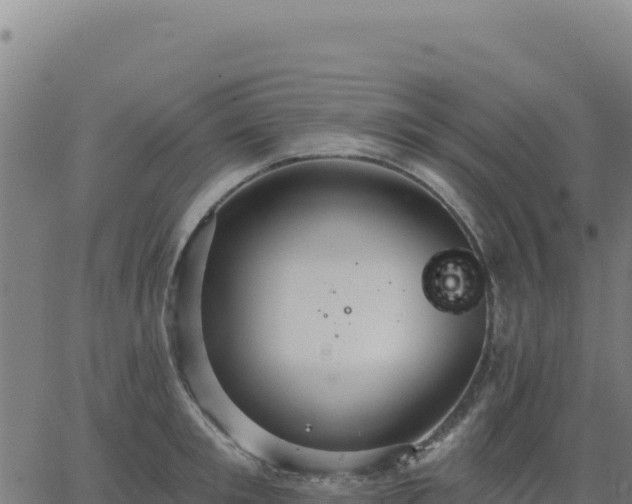 X0000062860901200601201726