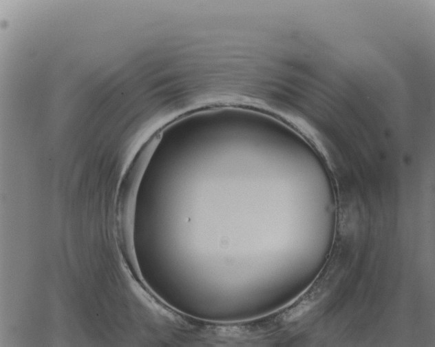 X0000062860903200601201726