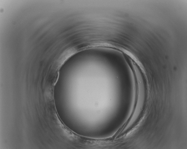 X0000062860905200601201726