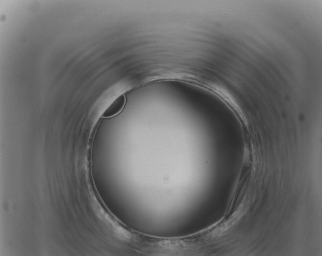 X0000062860906200601201726