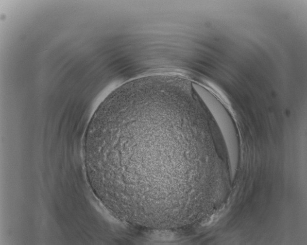 X0000062860907200601201726