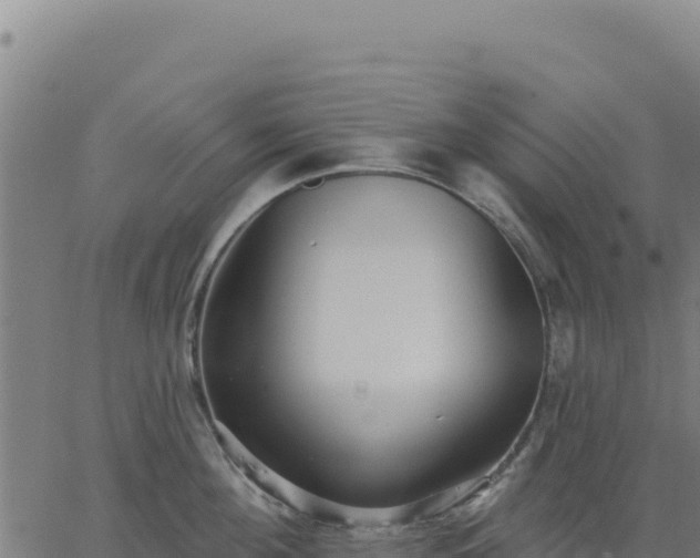 X0000062860908200601201726