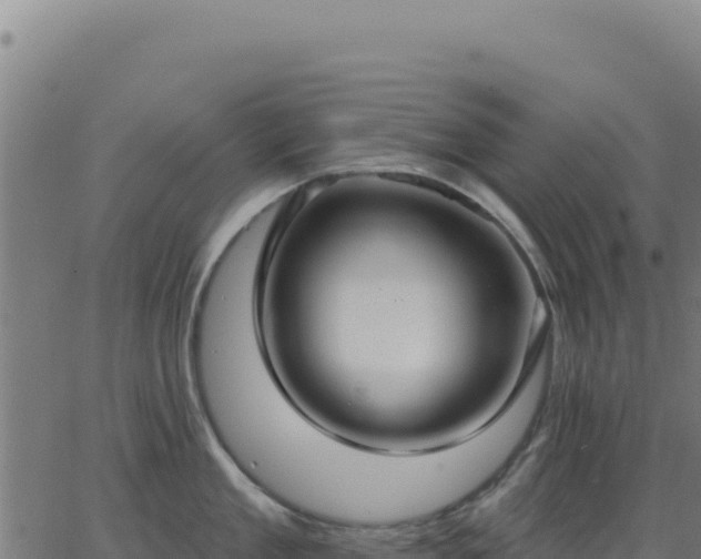 X0000062860909200601201725