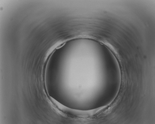 X0000062860910200601201725