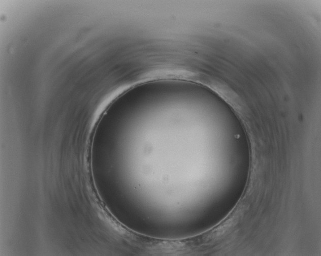 X0000062860912200601201725