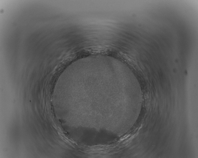 X0000062860913200601201725