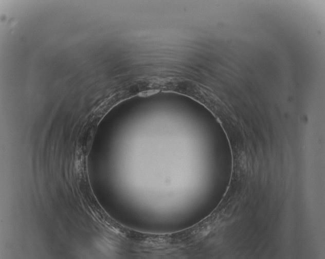 X0000062860914200601201725