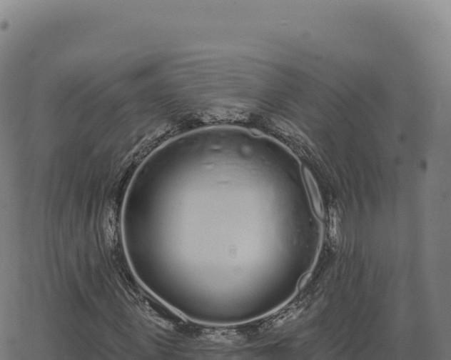 X0000062860915200601201725