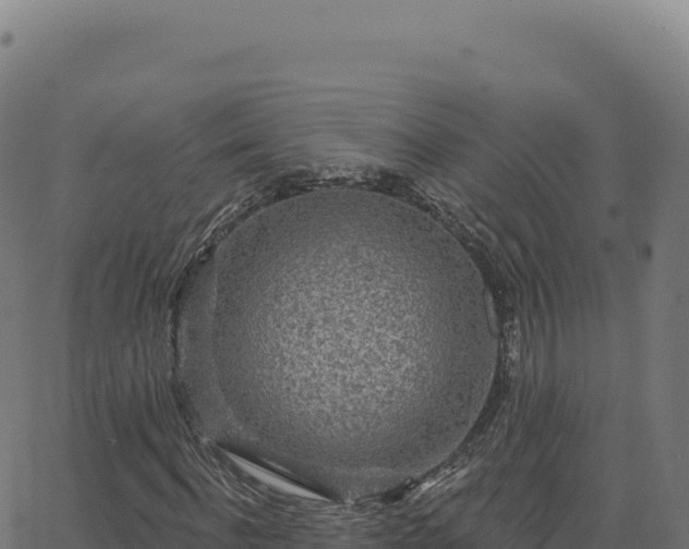 X0000062860916200601201725