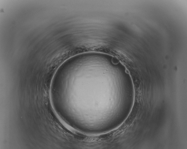 X0000062860917200601201725