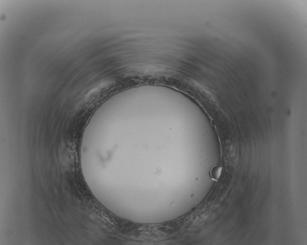 X0000062860918200601201725