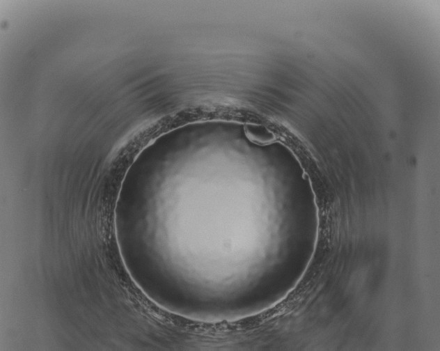 X0000062860919200601201725