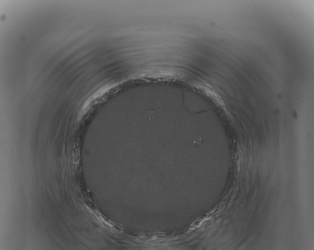 X0000062860920200601201725