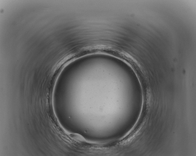 X0000062860921200601201725