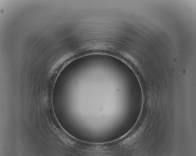 X0000062860922200601201725