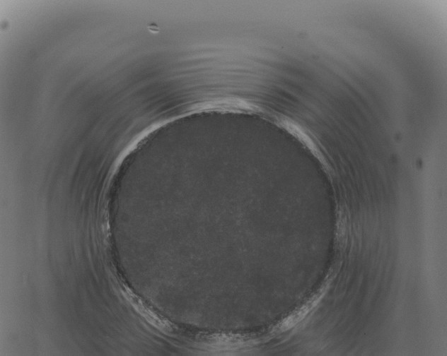 X0000062860923200601201725