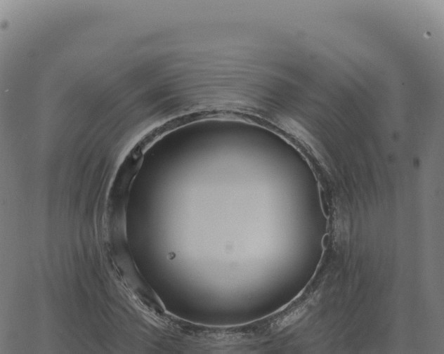 X0000062860924200601201725