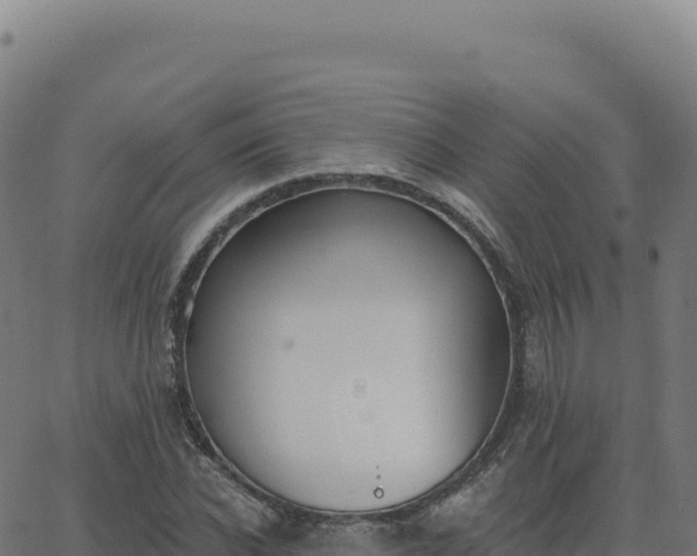 X0000062860926200601201725