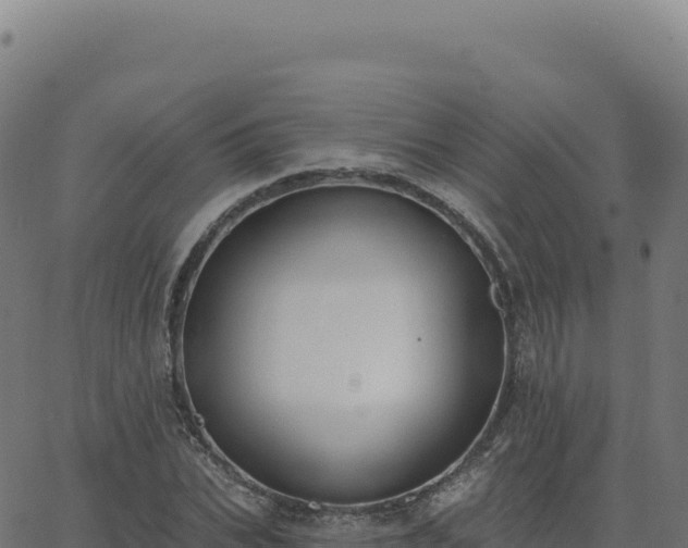 X0000062860927200601201725