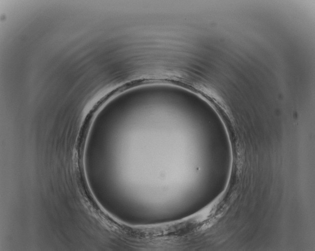 X0000062860928200601201725