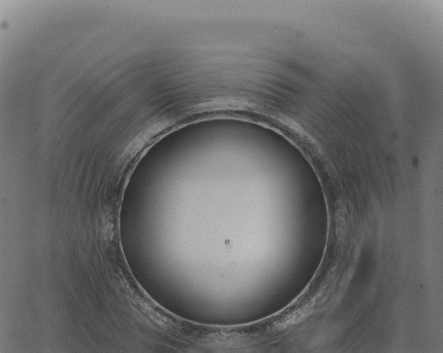 X0000062860929200601201725