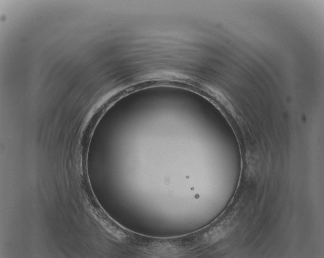 X0000062860931200601201725