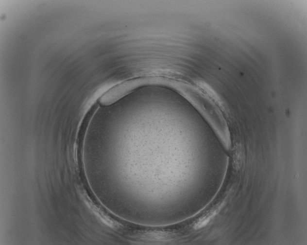 X0000062860932200601201725