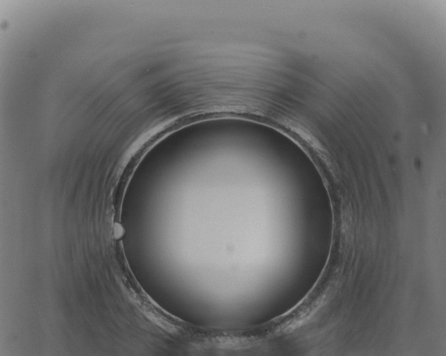 X0000062860933200601201725