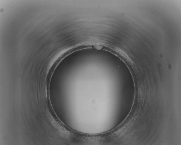 X0000062860934200601201725