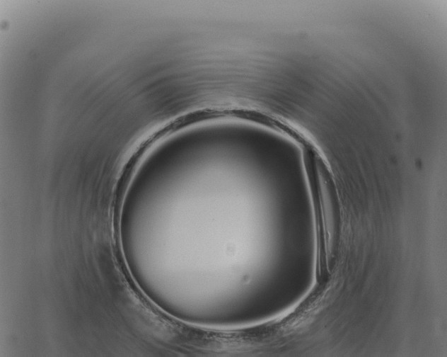 X0000062860935200601201725