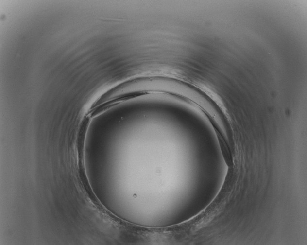 X0000062860936200601201725