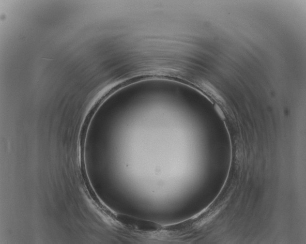 X0000062860940200601201725