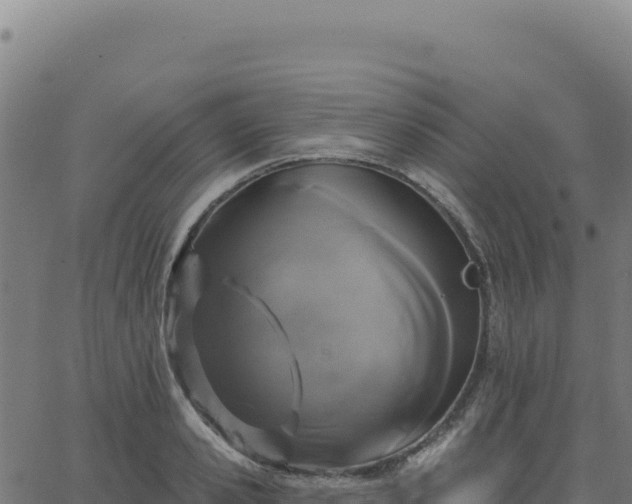 X0000062860941200601201725