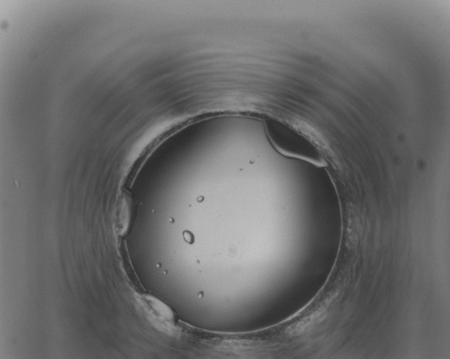 X0000062860942200601201725