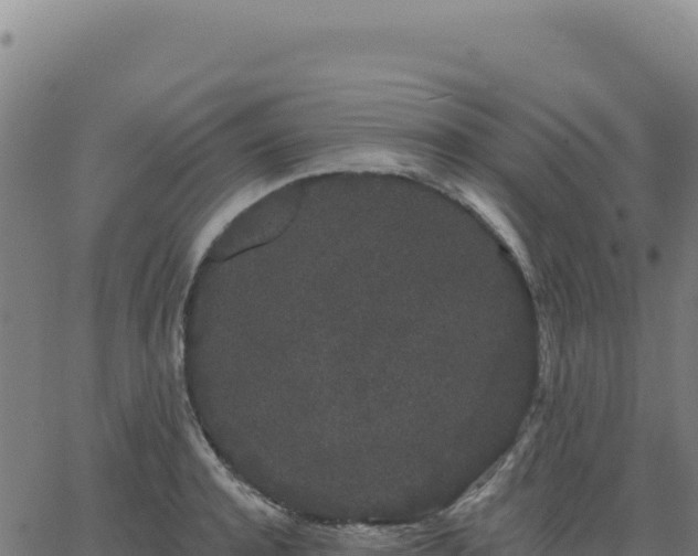 X0000062860944200601201725