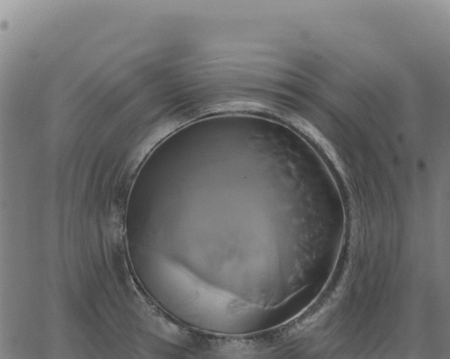 X0000062860945200601201725