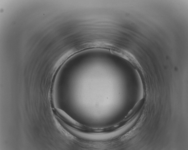 X0000062860946200601201725