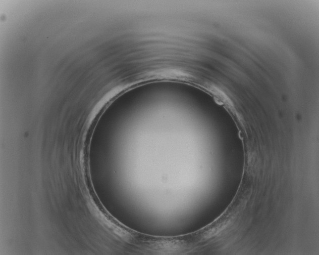 X0000062860947200601201725