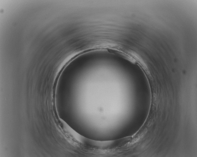 X0000062860948200601201725