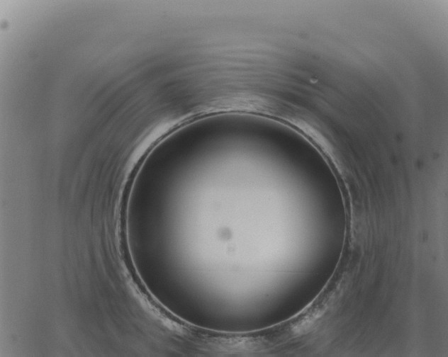 X0000062860949200601201725