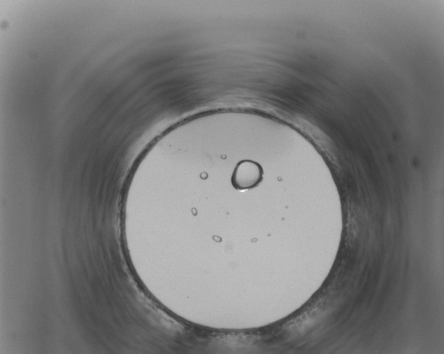 X0000062860950200601201725