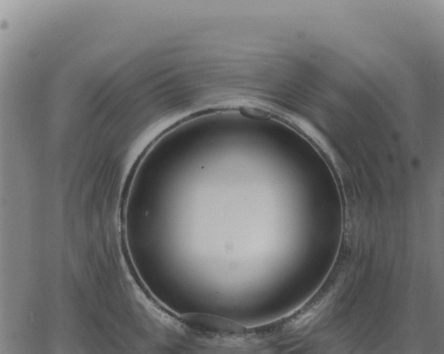 X0000062860951200601201725