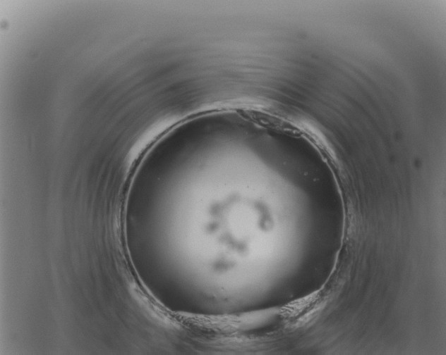 X0000062860952200601201725