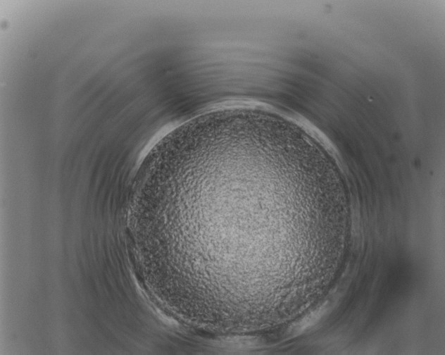 X0000062860953200601201725