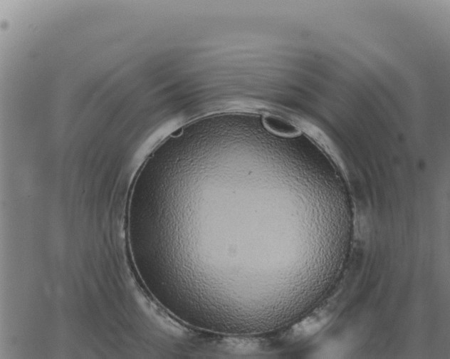 X0000062860954200601201725