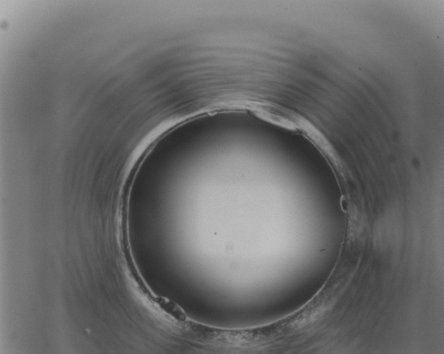 X0000062860955200601201725