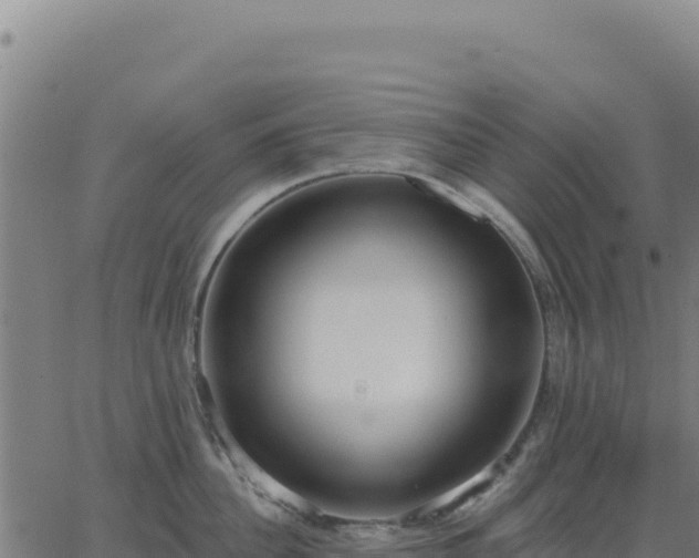 X0000062860956200601201725